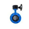 Provide oem service worm actuated cast iron lengthens butterfly valve